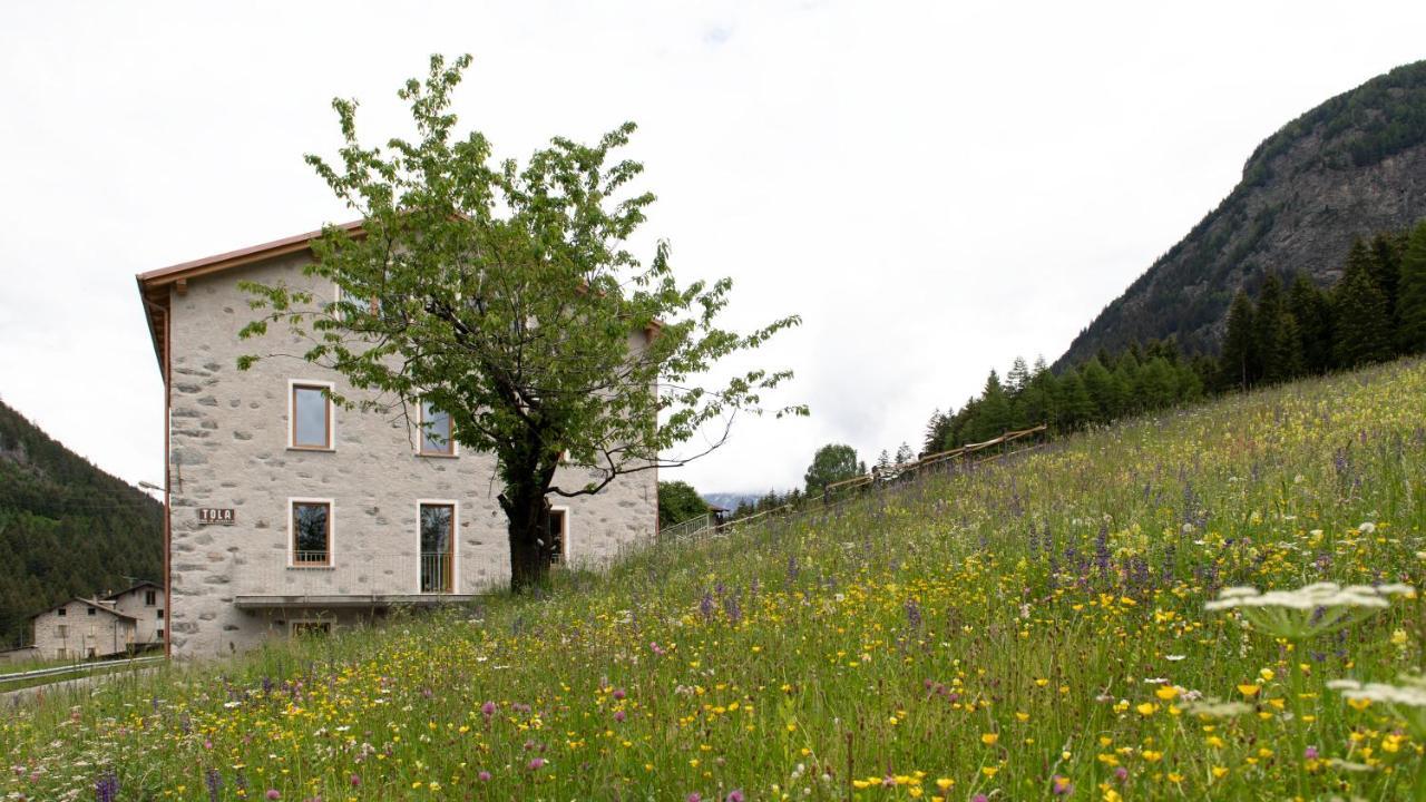 Italianway - Villa Tola Valdisotto Exteriér fotografie